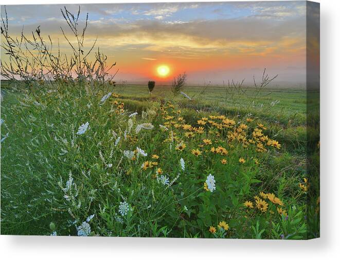 Mchenry County Conservation District Canvas Print featuring the photograph Sunrise over McHenry County's Glacial Park by Ray Mathis