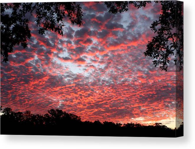 Nature Canvas Print featuring the photograph Sunrise Through the Trees by Sheila Brown