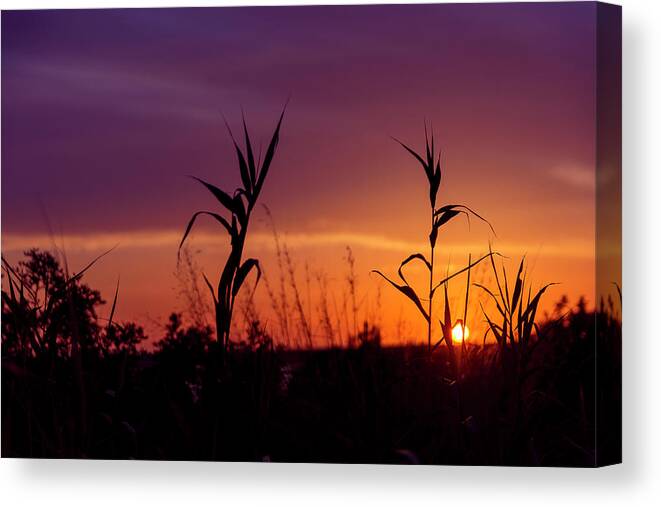 Sunset Canvas Print featuring the photograph Sunset Colours by Nikos Stavrakas