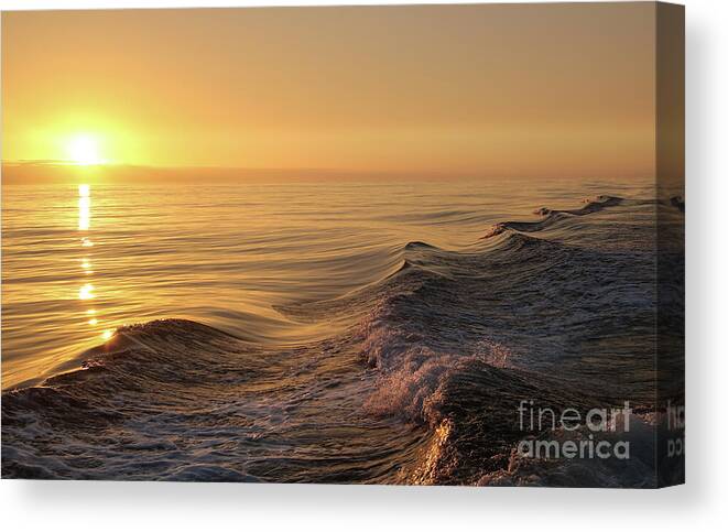 Sunset Canvas Print featuring the photograph Sunset Meets Wake by Suzanne Luft