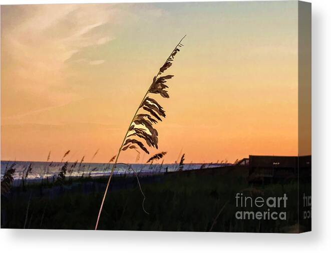 Sunset Canvas Print featuring the photograph Sunset Memories by Roberta Byram