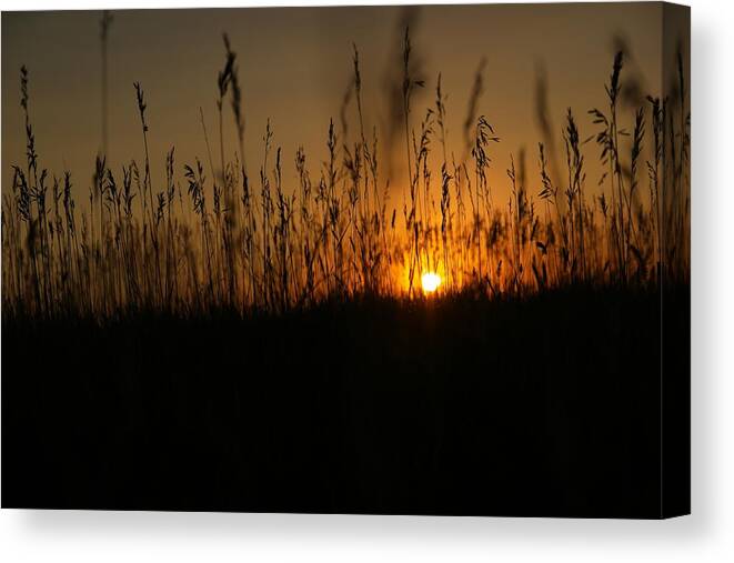 Plains Canvas Print featuring the photograph Sunset on the plains by Jeff Swan