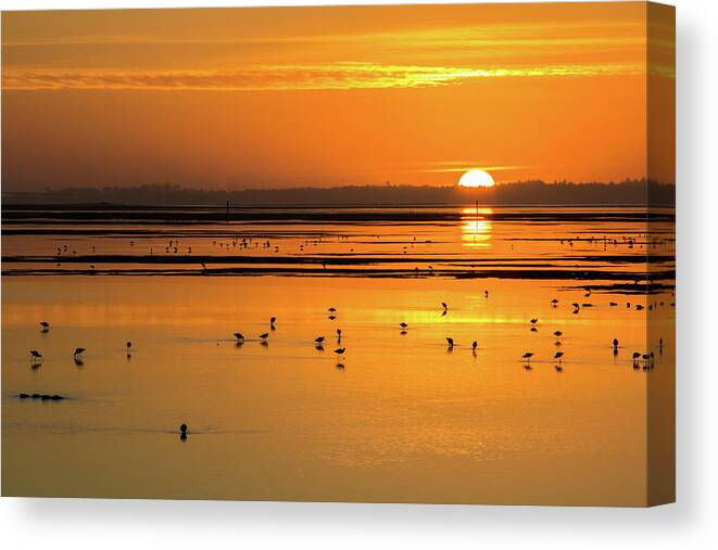Sunsets Canvas Print featuring the photograph Sunset over Arcata Marsh, with avocets by Beth Partin