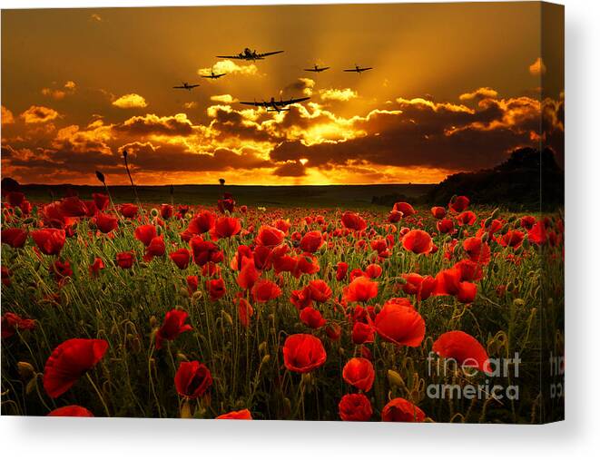 Avro Canvas Print featuring the digital art Sunset Poppies The BBMF by Airpower Art