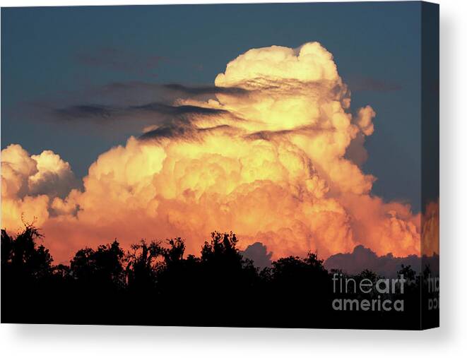 Sunset Canvas Print featuring the photograph Sunset Storm Clouds over the Marsh by Carol Groenen