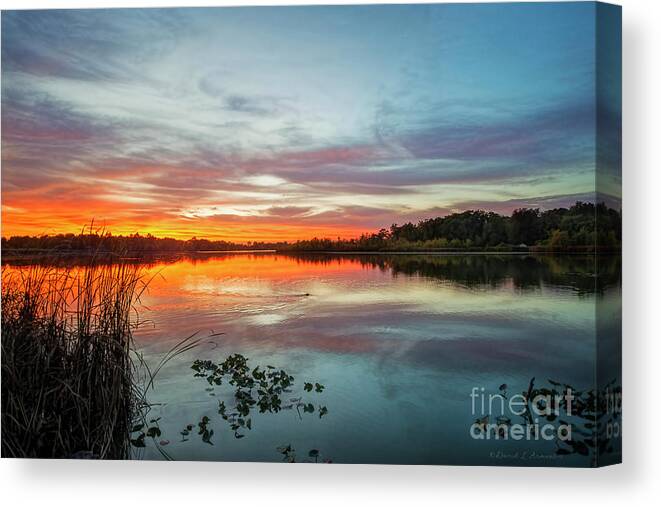 Muskrat Canvas Print featuring the photograph Sunset with Muskrat by David Arment