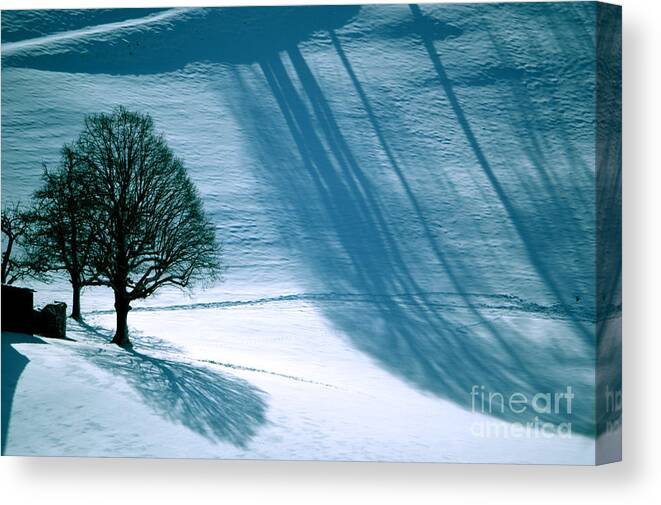 Sunshine Canvas Print featuring the photograph Sunshine and Shadows - Winterwonderland by Susanne Van Hulst
