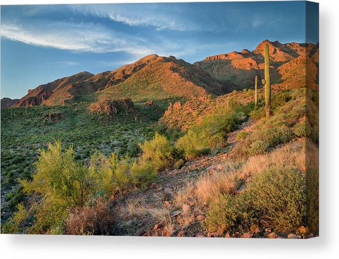Superstition Mountains Canvas Print featuring the photograph Superstitions at Dusk by Greg Nyquist