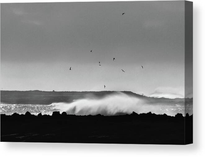 B & W Canvas Print featuring the photograph Surf Birds by Geoff Smith