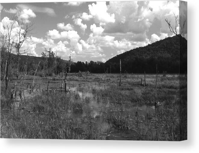Ansel Adams Canvas Print featuring the photograph SwampOEM by Curtis J Neeley Jr