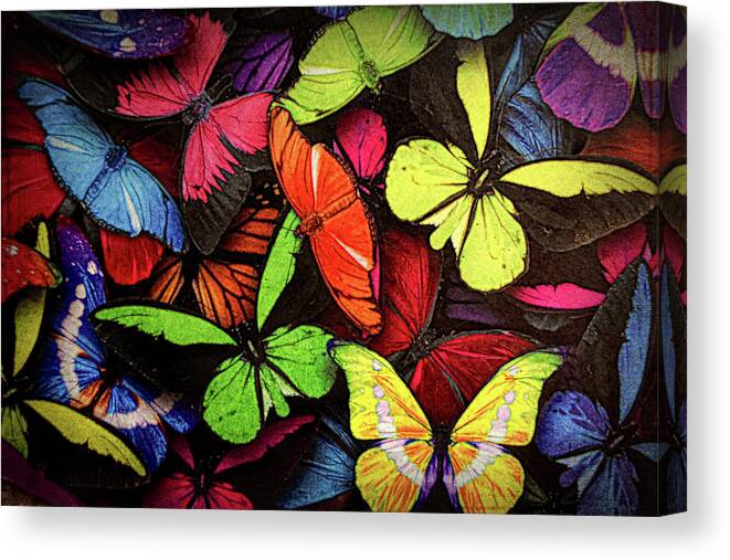 Butterflies Canvas Print featuring the painting Swarm of Butterfles by Sandi OReilly
