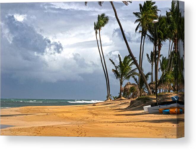 Palms Canvas Print featuring the photograph Sway by Robert Och