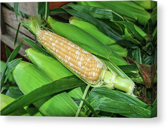 Sweet Corn Canvas Print featuring the photograph Sweet Corn by Todd Klassy