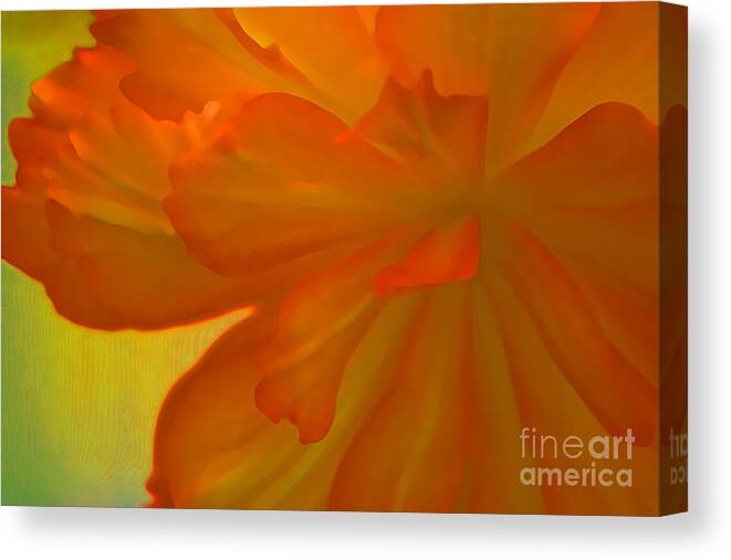 Flower Canvas Print featuring the photograph Sweet Nectar by Julie Lueders 