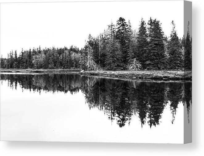 Pine Trees Canvas Print featuring the photograph Symmetry by Holly Ross