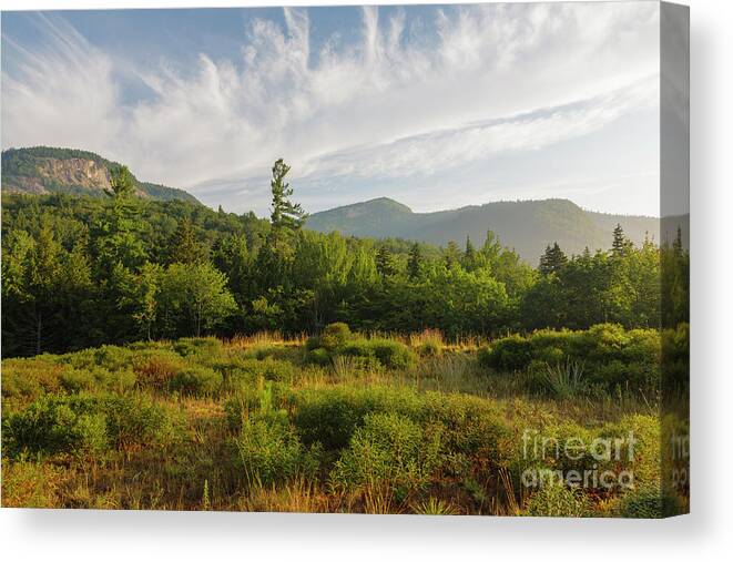 Albany Canvas Print featuring the photograph Table Mountain - Kancamagus Scenic Byway, New Hampshire by Erin Paul Donovan