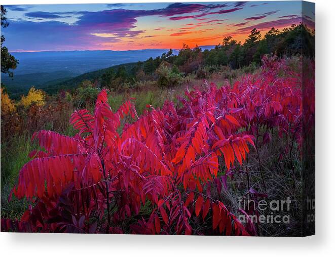 America Canvas Print featuring the photograph Talimena Twilight by Inge Johnsson
