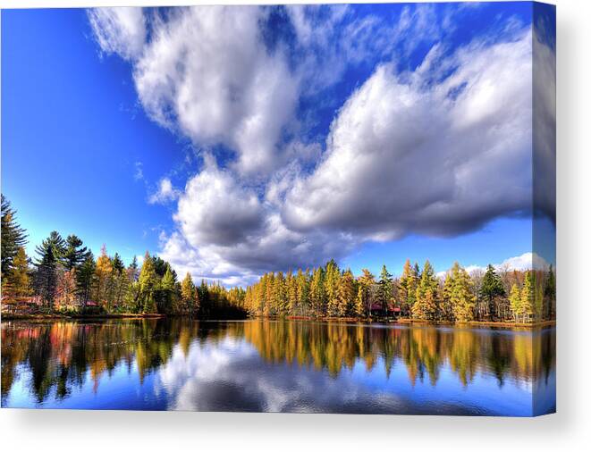 Hdr Canvas Print featuring the photograph Tamarack Reflections in the Adirondacks by David Patterson