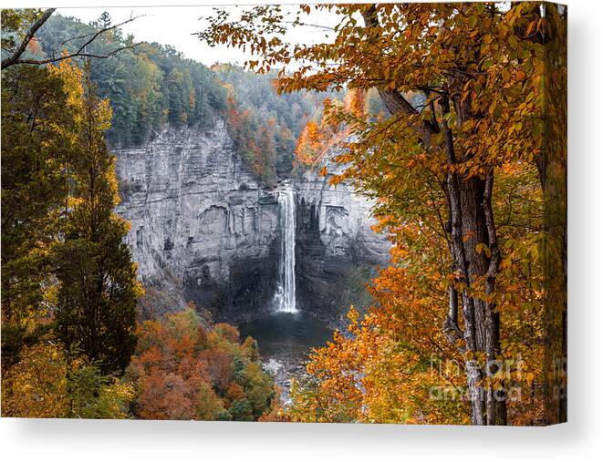 Water Canvas Print featuring the photograph Taughannock Autumn by William Norton