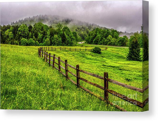 Spring Canvas Print featuring the photograph Tea Creek Meadow and Buttercups by Thomas R Fletcher