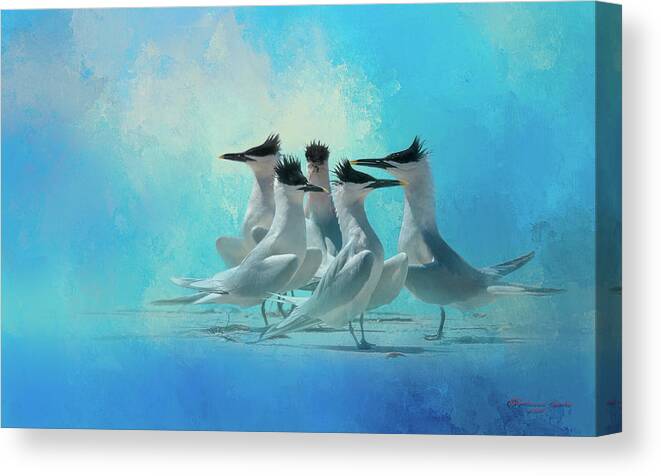 Egmont Key Canvas Print featuring the photograph Tern And Look by Marvin Spates