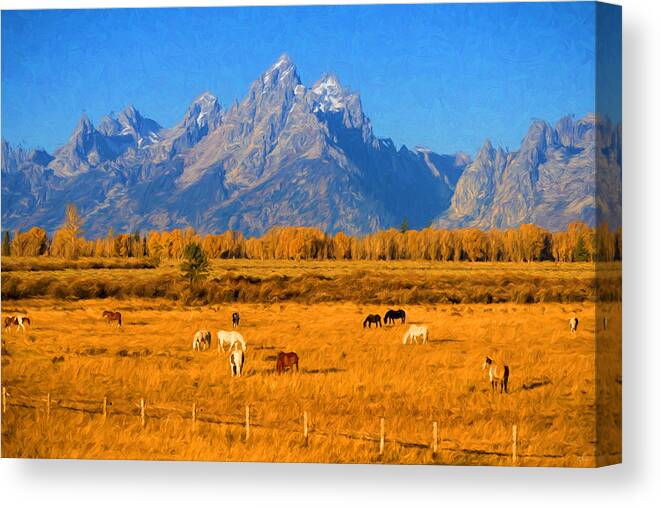 Tetons Canvas Print featuring the photograph Tetons and Horses by Greg Norrell