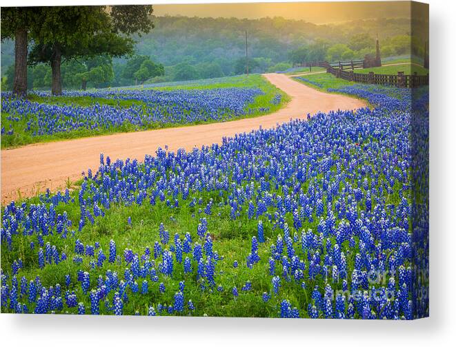 America Canvas Print featuring the photograph Texas Country Road by Inge Johnsson