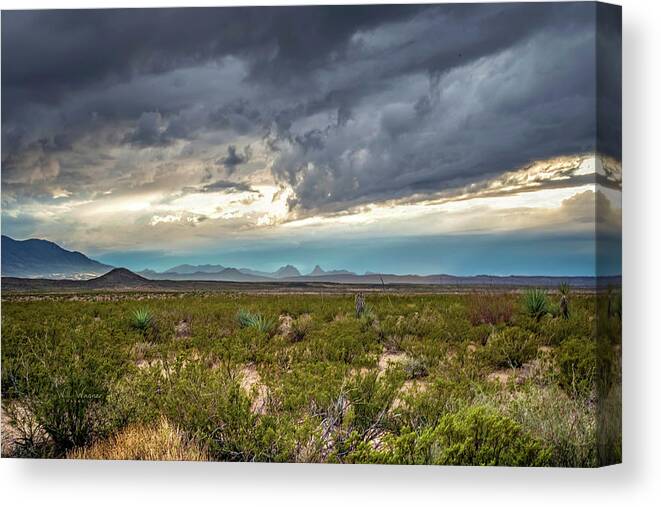 Texas Canvas Print featuring the photograph Texas Desert by Will Wagner