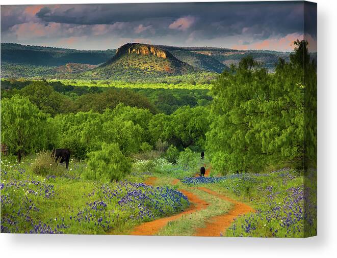 Texas Canvas Print featuring the photograph Texas Hill Country Ranch Road by Darryl Dalton
