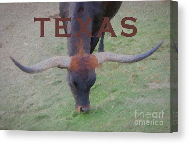 Bull Canvas Print featuring the mixed media Texas Longhorn by David Millenheft