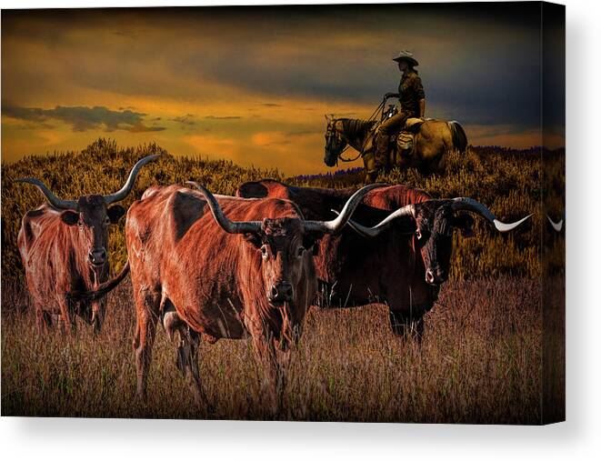 Longhorn Canvas Print featuring the photograph Texas Longhorn Steers and Cowboy at Sunset by Randall Nyhof