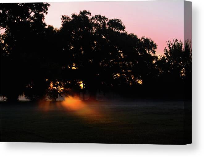 Sunrise Canvas Print featuring the photograph Texas Summer Sunrise by Tikvah's Hope