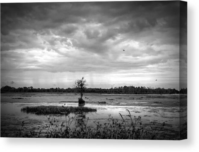 Crystal Yingling Canvas Print featuring the photograph The Approach by Ghostwinds Photography