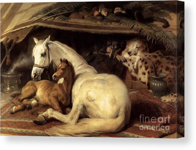 Sir Edwin Henry Landseer - The Arab Tent Canvas Print featuring the painting The Arab Tent by MotionAge Designs