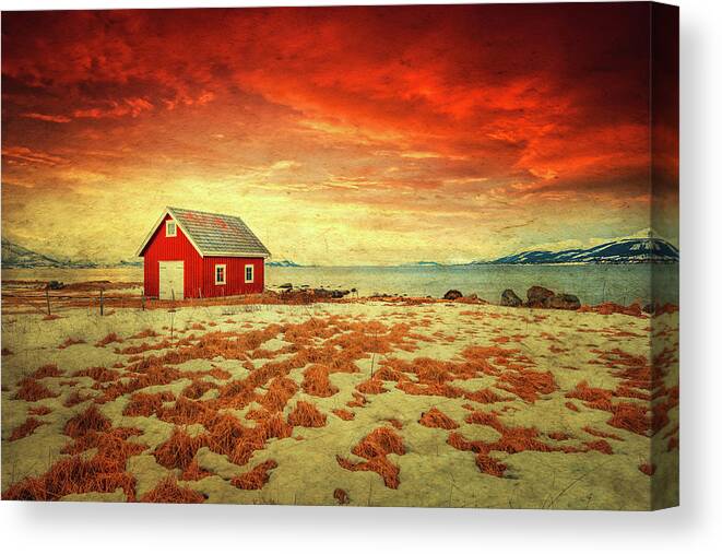 Texture Canvas Print featuring the photograph The Background World by Philippe Sainte-Laudy