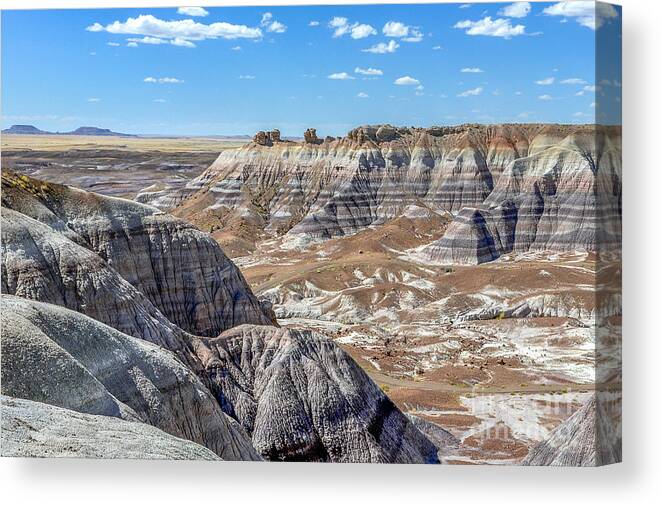 Blue Mesa Canvas Print featuring the pyrography The Blue Mesa by David Meznarich