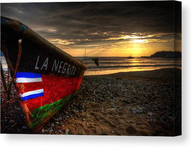 Costa Rica Canvas Print featuring the photograph The Bold by Anthony Doudt