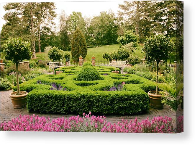 Herb Garden Canvas Print featuring the photograph The Botanical Herb Garden by Jessica Jenney