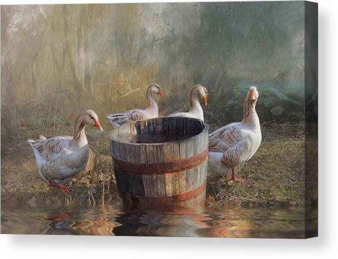 Geese Canvas Print featuring the photograph The Bucket Brigade by Robin-Lee Vieira