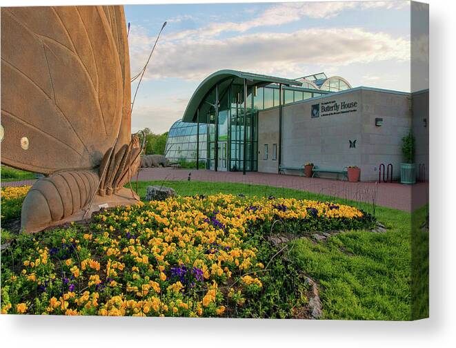 Saint Louis Canvas Print featuring the photograph The Butterfly House by Steve Stuller