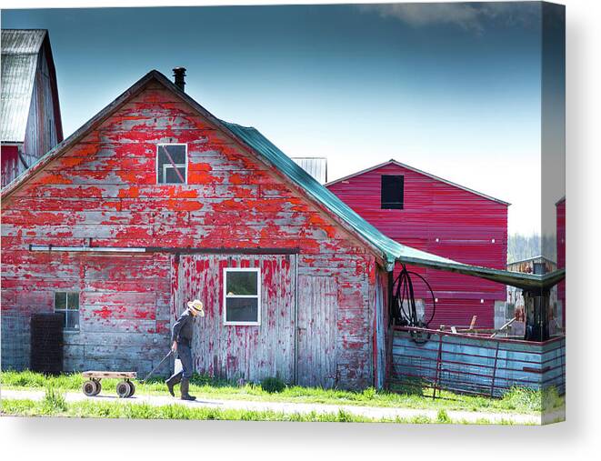 Mennonite Canvas Print featuring the photograph The Chores by Brent Buchner