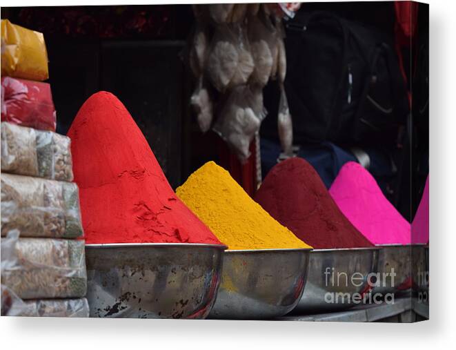 Holi Canvas Print featuring the photograph The colours of holi by Mini Arora