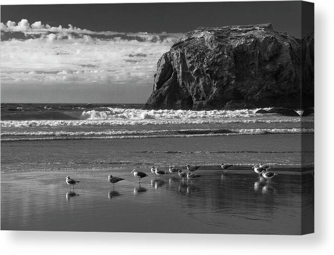 Bandon Beach Canvas Print featuring the photograph The Coven by Steven Clark