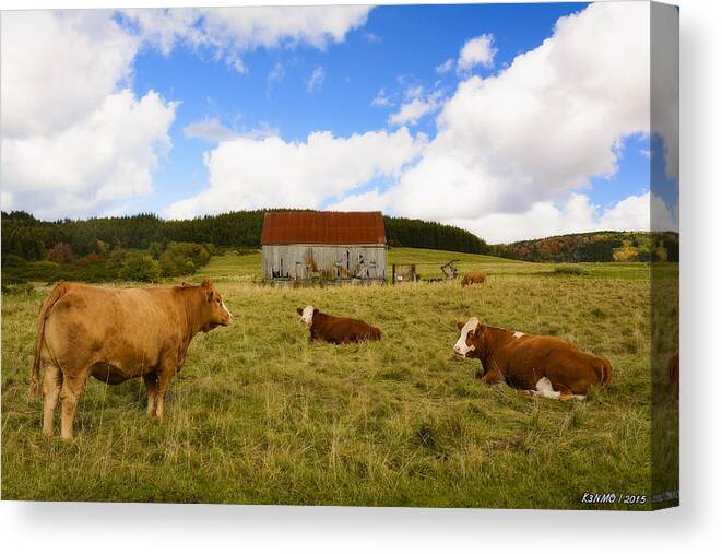 Cow Canvas Print featuring the digital art The Cows of Mabou by Ken Morris