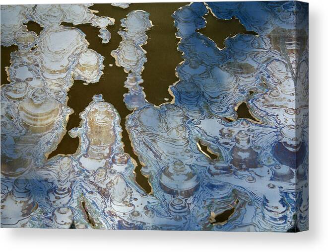 Abstract Canvas Print featuring the photograph The Creatures In The Glass by Kreddible Trout