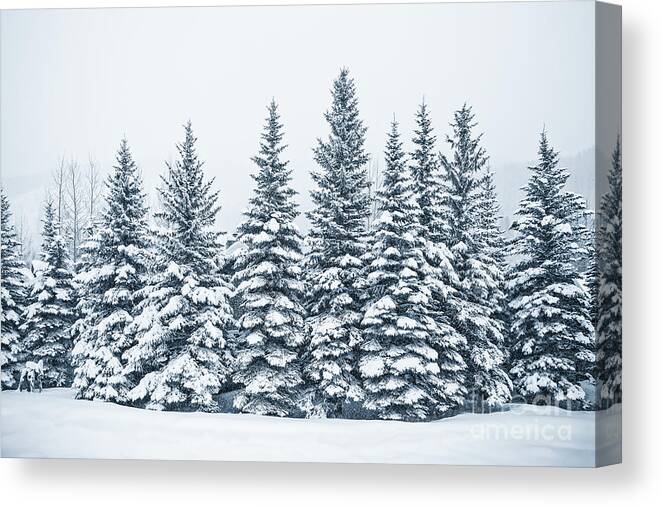 Kremsdorf Canvas Print featuring the photograph The Crown Of Winter by Evelina Kremsdorf