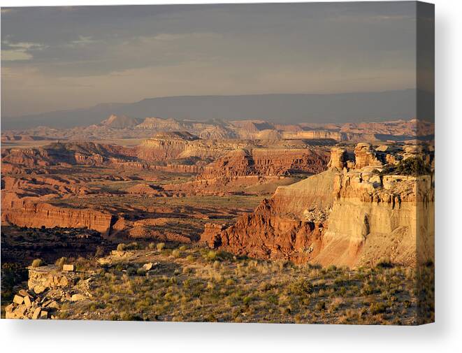 Dead Zone Canvas Print featuring the photograph The Dead Zone - Utah by DArcy Evans