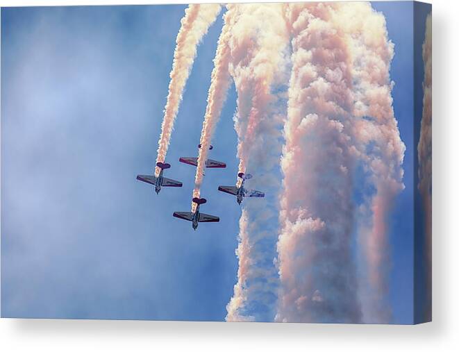 Aeroshell Canvas Print featuring the photograph The Dive by Susan Rissi Tregoning