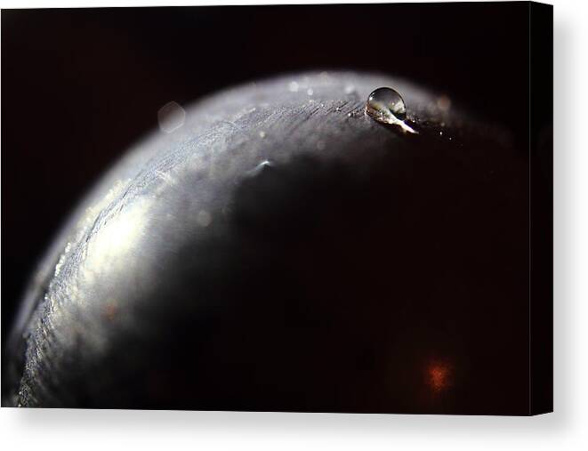 Grape Canvas Print featuring the photograph The Dome of Carljimmy. Daybreak. by Kreddible Trout