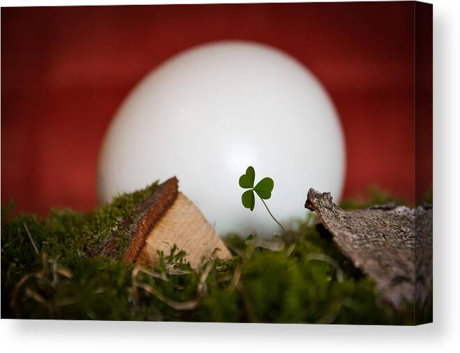 Easter Canvas Print featuring the photograph the egg - Happy Easter by Andreas Levi